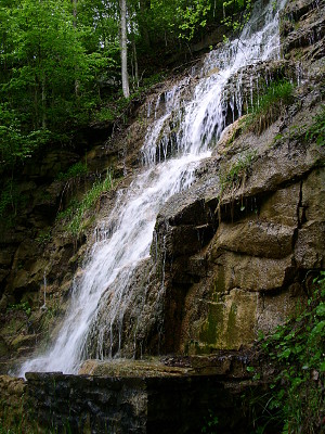 [Portrait view of a small waterfall cascading down the rocks. Many thin water streams fall beside the main stream.]